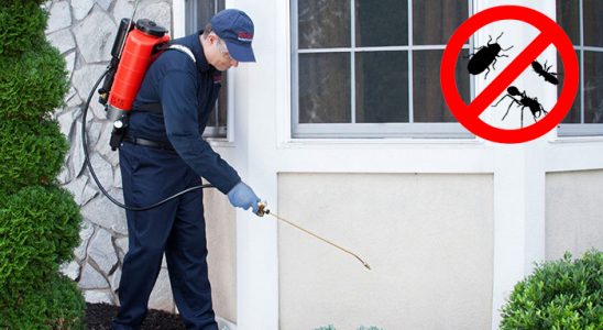 Gercüş Hamam Böceği İlaçlama böcek ilaçlama ve haşere kontrolü — ilaclama-tr.com